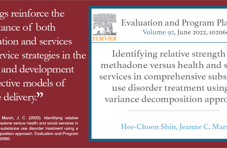 Identifying relative strength of methadone versus health and social services in comprehensive substance use disorder treatment using a variance decomposition approach